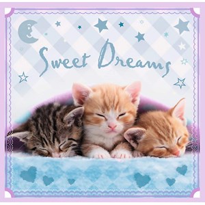 Trefl (34809) - "Kittens" - 20 36 50 pezzi