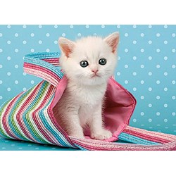 Castorland (B-010172) - "White Cat in Bag" - 108 pezzi