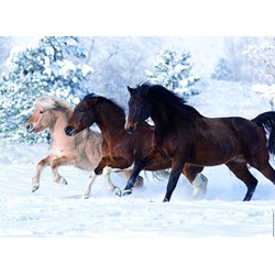 Ravensburger (14140) - "Galloping in the Snow" - 500 pezzi
