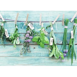 Ravensburger (19612) - "Herb Garden" - 1000 pezzi