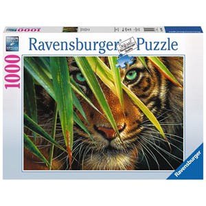 Ravensburger (19486) - "Mysterious Tiger" - 1000 pezzi