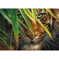 Ravensburger (19486) - "Mysterious Tiger" - 1000 pezzi