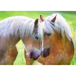 Ravensburger (19485) - "Intimate Moment" - 1000 pezzi