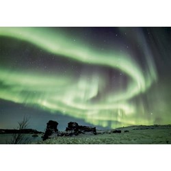 Educa (16308) - "Winter Paradise" - 1500 pezzi