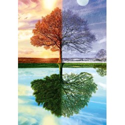 Schmidt Spiele (58223) - "Seasons Tree" - 500 pezzi