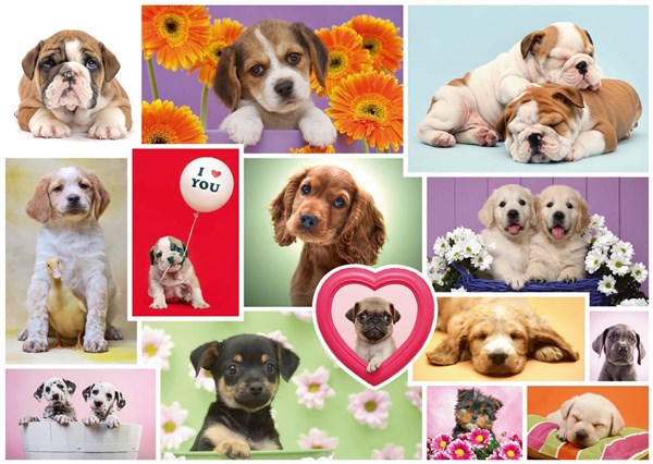 Schmidt Spiele (58231) - "Friends on four paws" - 1000 pezzi