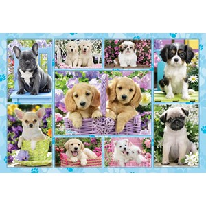 Schmidt Spiele (56162) - "Puppies" - 200 pezzi