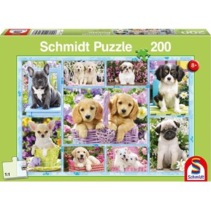 Schmidt Spiele (56162) - "Puppies" - 200 pezzi
