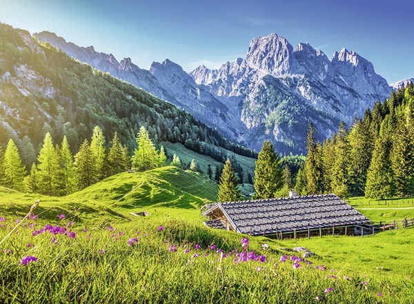 Ravensburger (13646) - "Mountain Meadow" - 300 pezzi