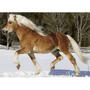 Nathan (86733) - "Horse" - 100 pezzi