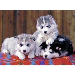 Ravensburger (12823) - "Huskies" - 200 pezzi