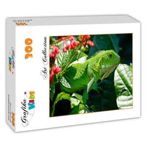 Grafika Kids (00510) - "Iguana" - 300 pezzi
