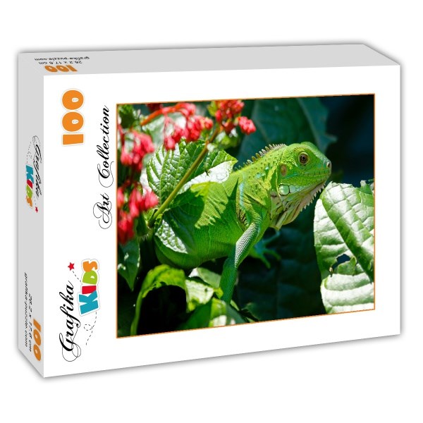 Grafika Kids (00511) - "Iguana" - 100 pezzi