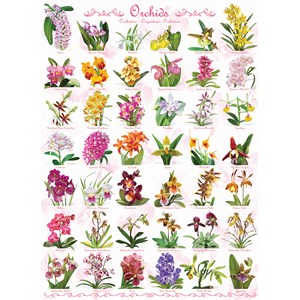 Eurographics (6000-0655) - "Orchids" - 1000 pezzi