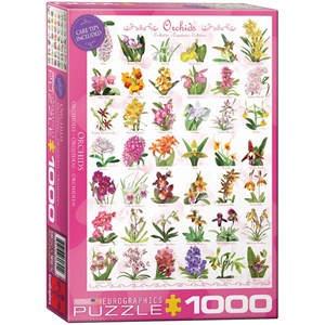Eurographics (6000-0655) - "Orchids" - 1000 pezzi