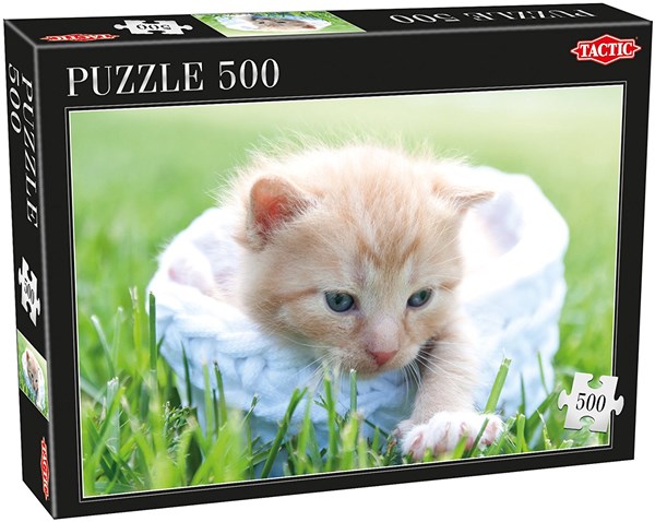 Tactic (53338) - "Kitten" - 500 pezzi