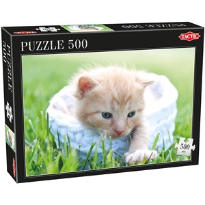 Tactic (53338) - "Kitten" - 500 pezzi