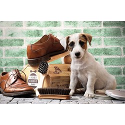 Tactic (53339) - "The Little Shoe-Shine" - 500 pezzi