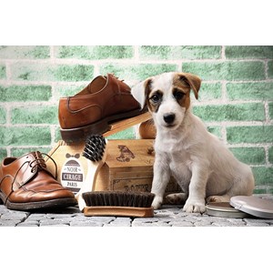 Tactic (53339) - "The Little Shoe-Shine" - 500 pezzi