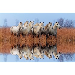 Tactic (53340) - "Horses" - 500 pezzi