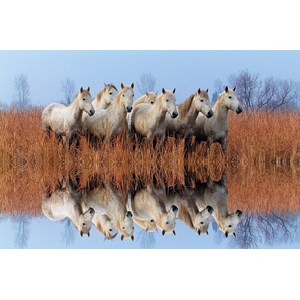 Tactic (53340) - "Horses" - 500 pezzi