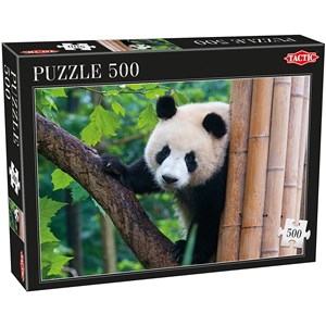 Tactic (53558) - "Panda" - 500 pezzi