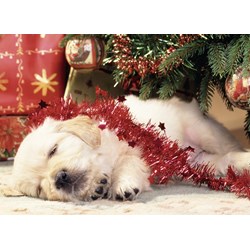 Ravensburger (07546) - "Christmas Puppy" - 80 pezzi
