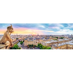 Trefl (29029) - "View from the Cathedral of Notre-Dame de Paris" - 1000 pezzi