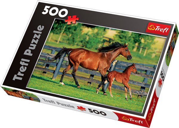Trefl (370959) - "Foal's First Steps" - 500 pezzi