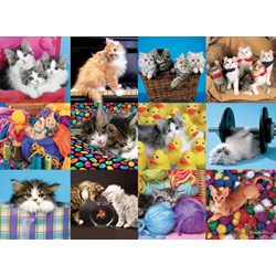 Ravensburger (13197) - "Cats Collage" - 300 pezzi