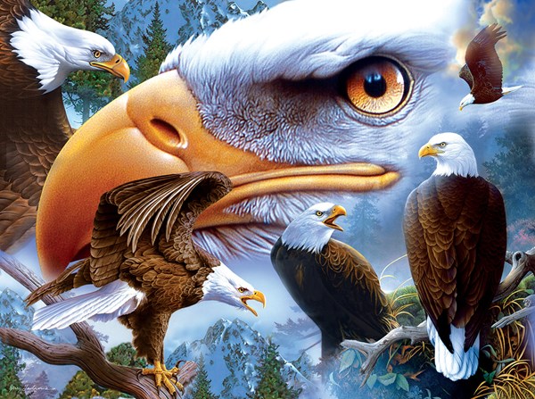 SunsOut (18943) - Jerry Gadamus: "Bold and Beautiful" - 1000 pezzi