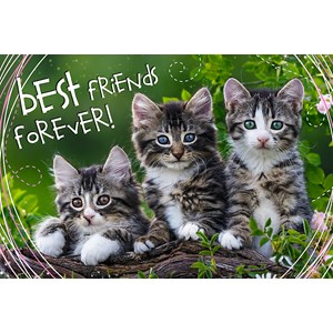 Trefl (13215) - "Best Friends Forever" - 260 pezzi