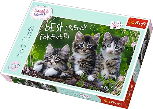 Trefl (13215) - "Best Friends Forever" - 260 pezzi