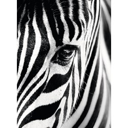 Ravensburger (14735) - "Zebra" - 500 pezzi