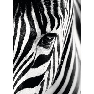 Ravensburger (14735) - "Zebra" - 500 pezzi