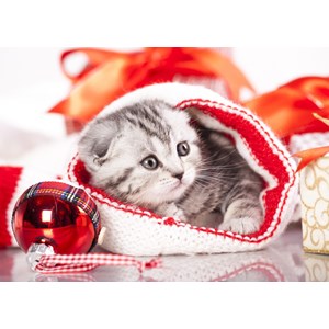 Grafika Kids (01129) - "Christmas Kitten" - 24 pezzi