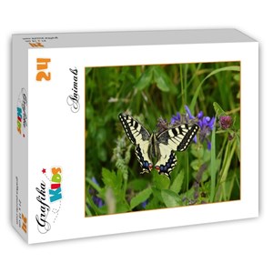Grafika Kids (01224) - "Butterfly" - 24 pezzi