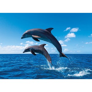 Tactic (53864) - "Dolphin Paradise" - 1000 pezzi