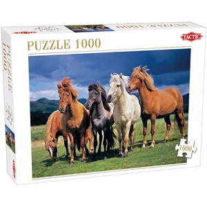 Tactic (53929) - "Camargue Horses" - 1000 pezzi