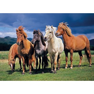 Tactic (53929) - "Camargue Horses" - 1000 pezzi
