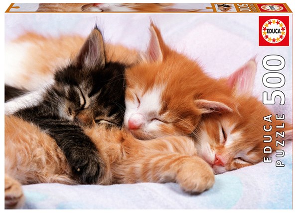 Educa (17087) - "Kittens" - 500 pezzi