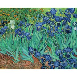 Pomegranate (AA331) - Vincent van Gogh: "Irises" - 1000 pezzi