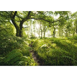 Schmidt Spiele (59382) - Stefan Hefele: "The Enchanted Path" - 1000 pezzi