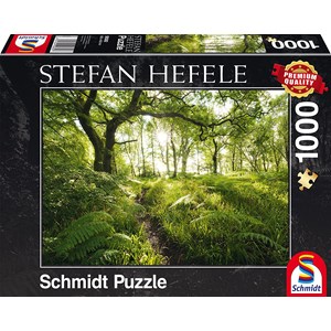 Schmidt Spiele (59382) - Stefan Hefele: "The Enchanted Path" - 1000 pezzi