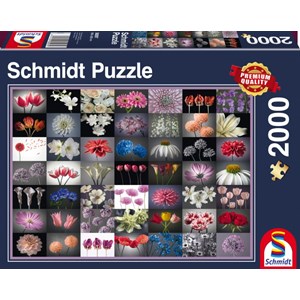Schmidt Spiele (58297) - "Flower Greeting" - 2000 pezzi
