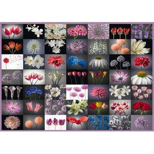 Schmidt Spiele (58297) - "Flower Greeting" - 2000 pezzi
