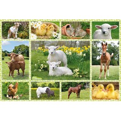 Schmidt Spiele (56194) - "Babies Animals of the Farm" - 100 pezzi