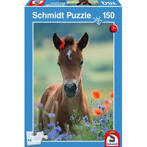 Schmidt Spiele (56196) - "My Dear Foal" - 150 pezzi