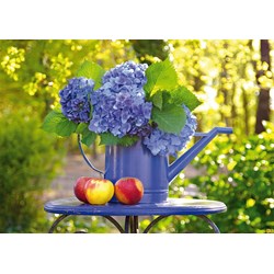 Schmidt Spiele (58283) - "Watering Can with Hydrangea" - 500 pezzi