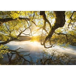 Schmidt Spiele (59383) - Stefan Hefele: "Embrace of Gold" - 1000 pezzi